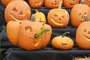 A pumpkin carved like an elephant with lots of other carved pumpkins